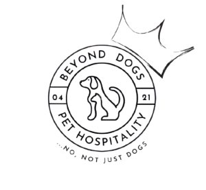 Beyond Dogs Pet Hospitality Beyond Dogs Pet Hospitality